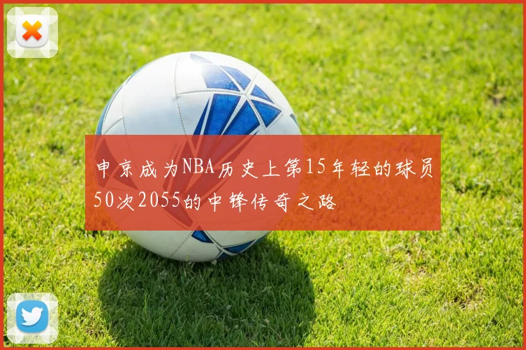 申京成为NBA历史上第15年轻的球员50次2055的中锋传奇之路