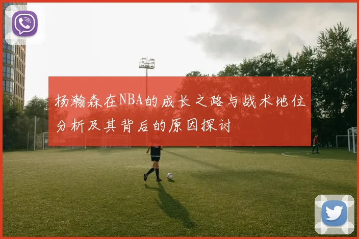 杨瀚森在NBA的成长之路与战术地位分析及其背后的原因探讨